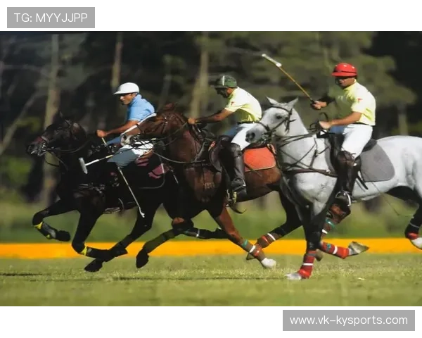 伊朗马术协会设立“Chovgan”奖学金，支持传统马术研究。，伊朗马蒂最新消息